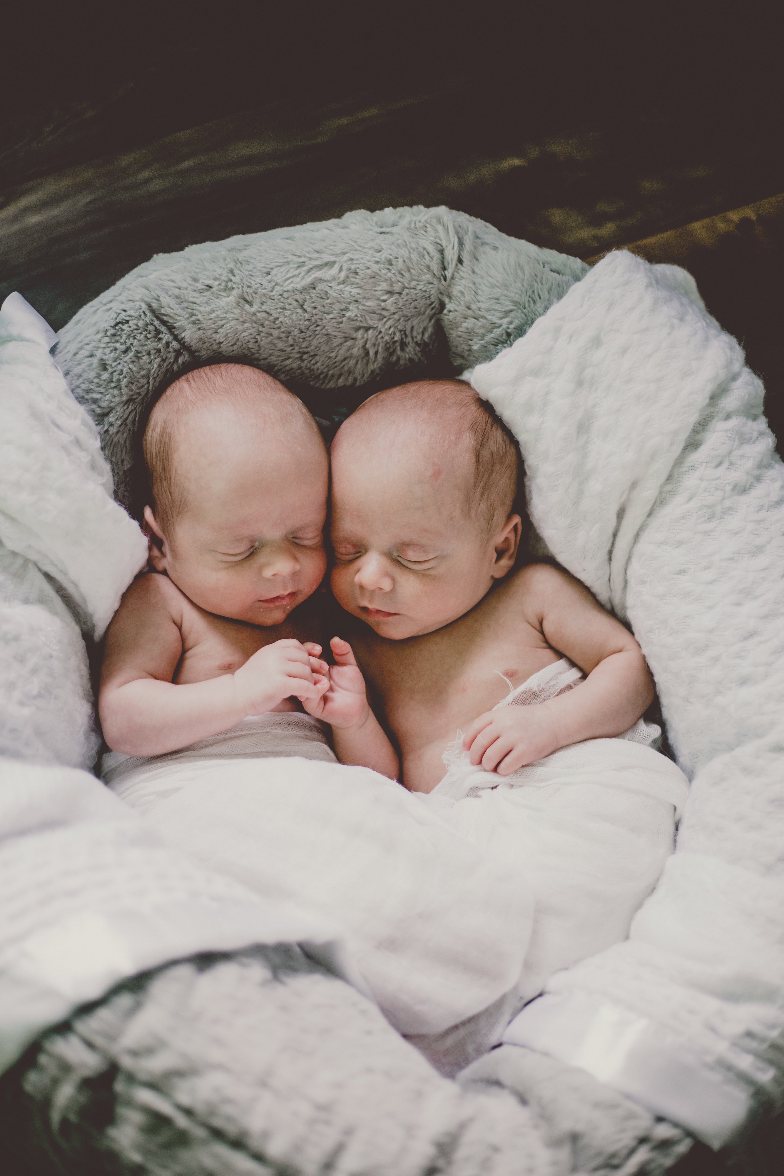 Newborn twins Aiden and Nolan photographed by Olive Studio as they hold hands while asleep in their baby cot. 
