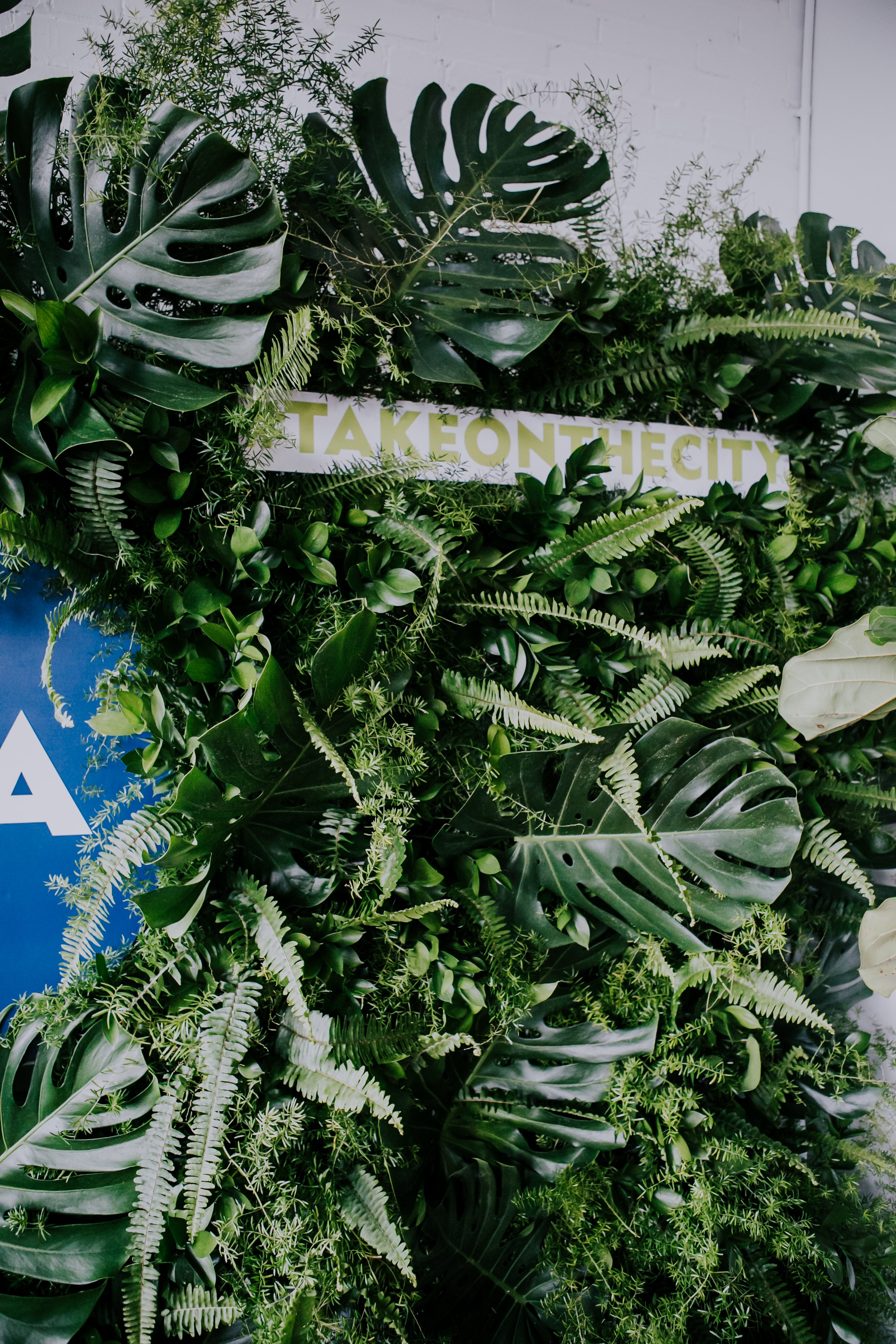 live green wall created by stylists at Olive Studio