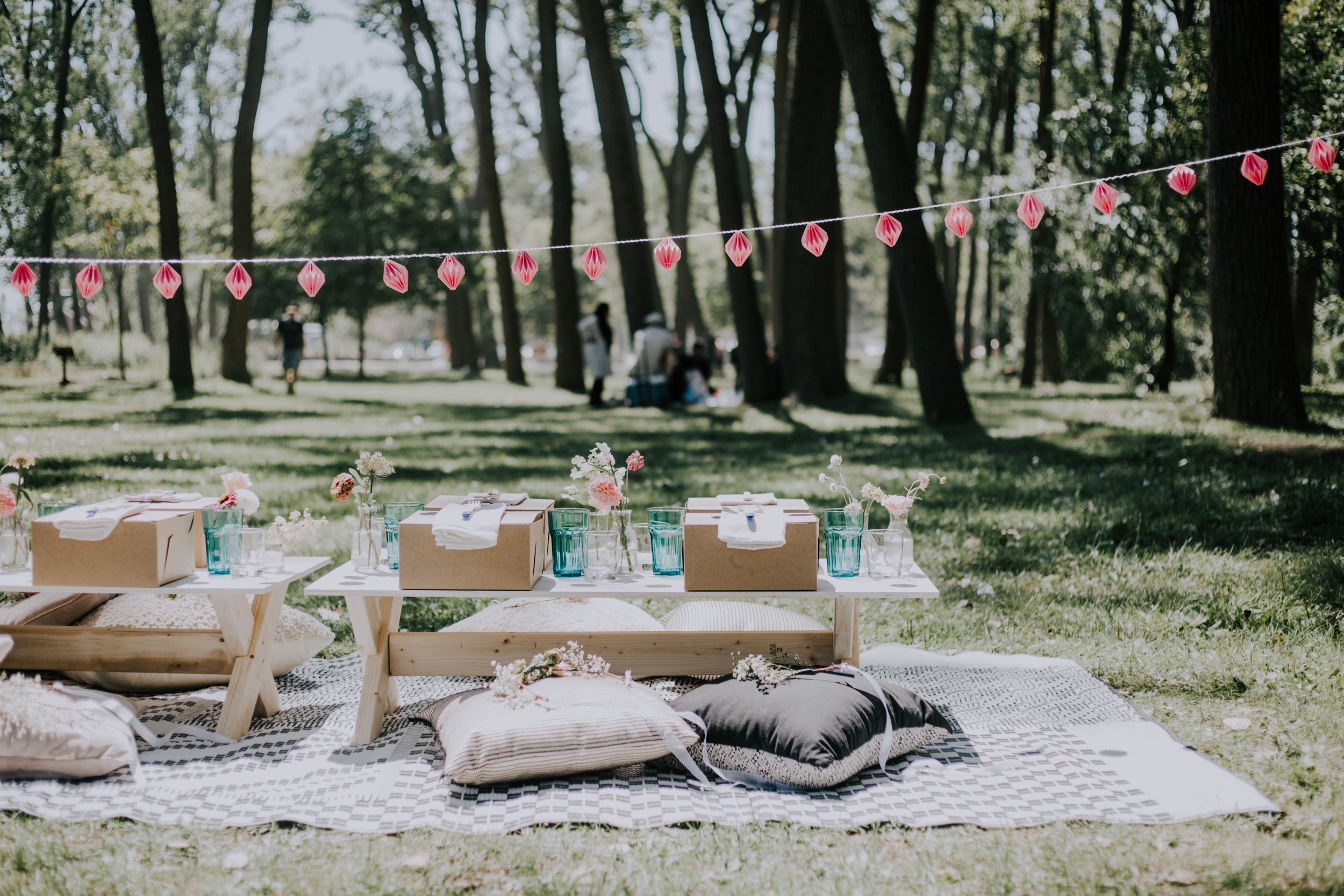 luxury picnic with boxed lunches, cushions and rugs