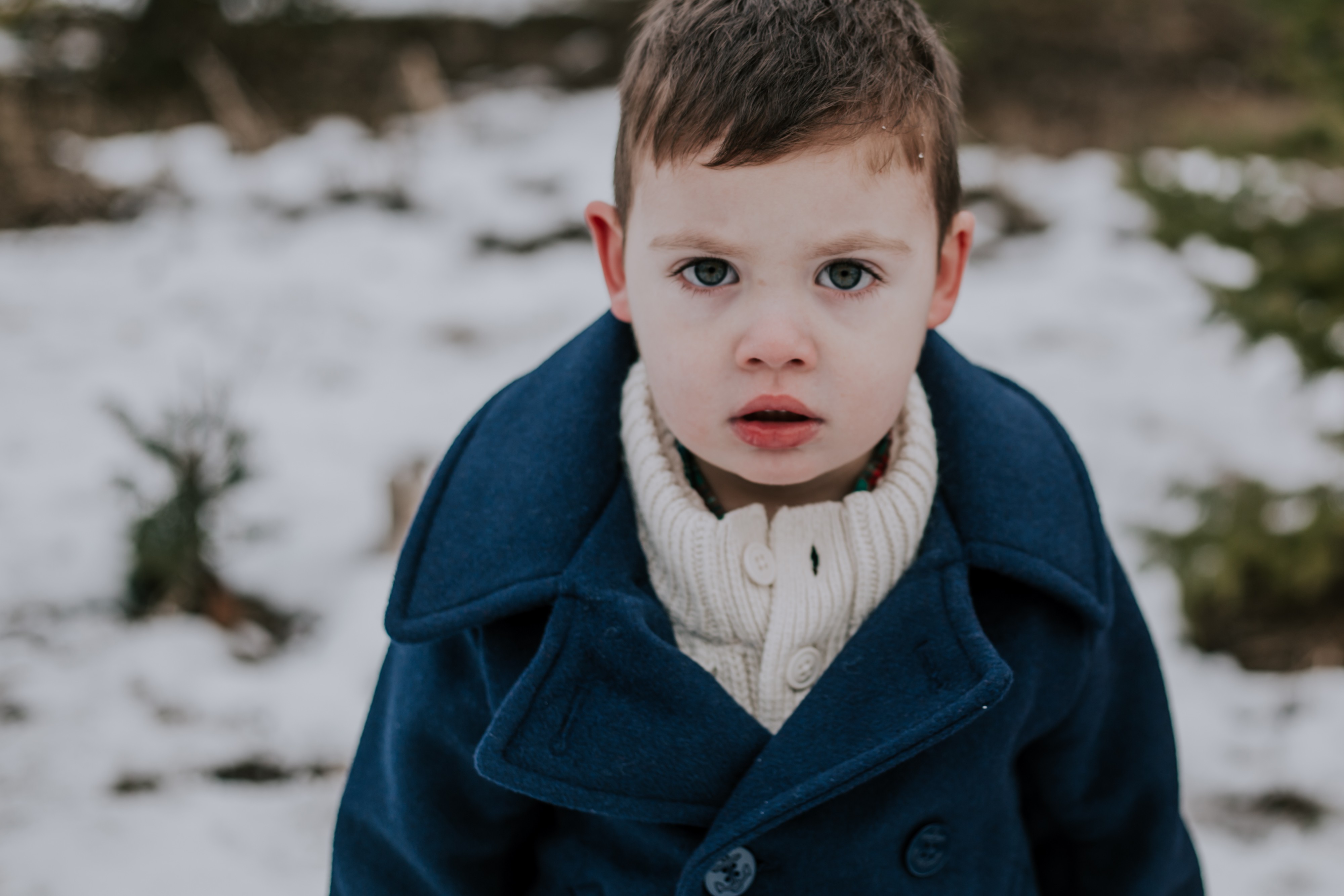 a portrait of a toddler boy staring at the camera