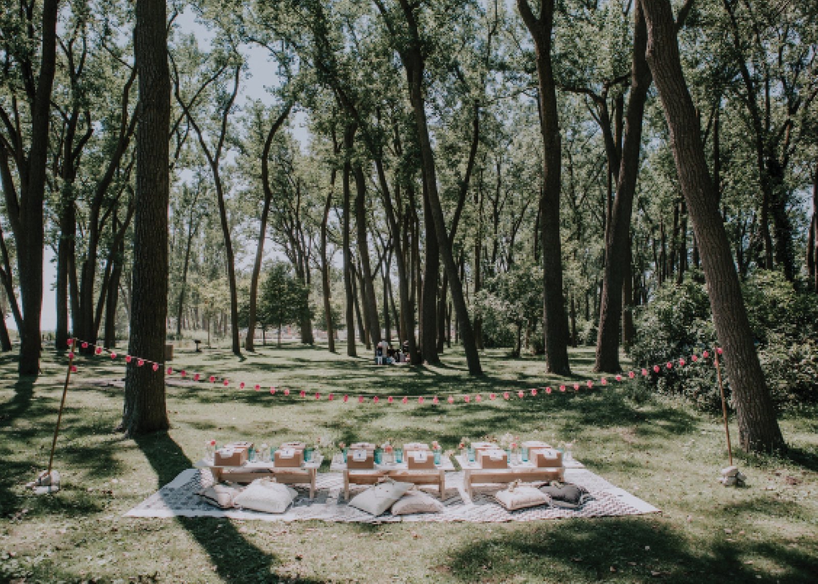 a luxury picnic for mom on mothers day