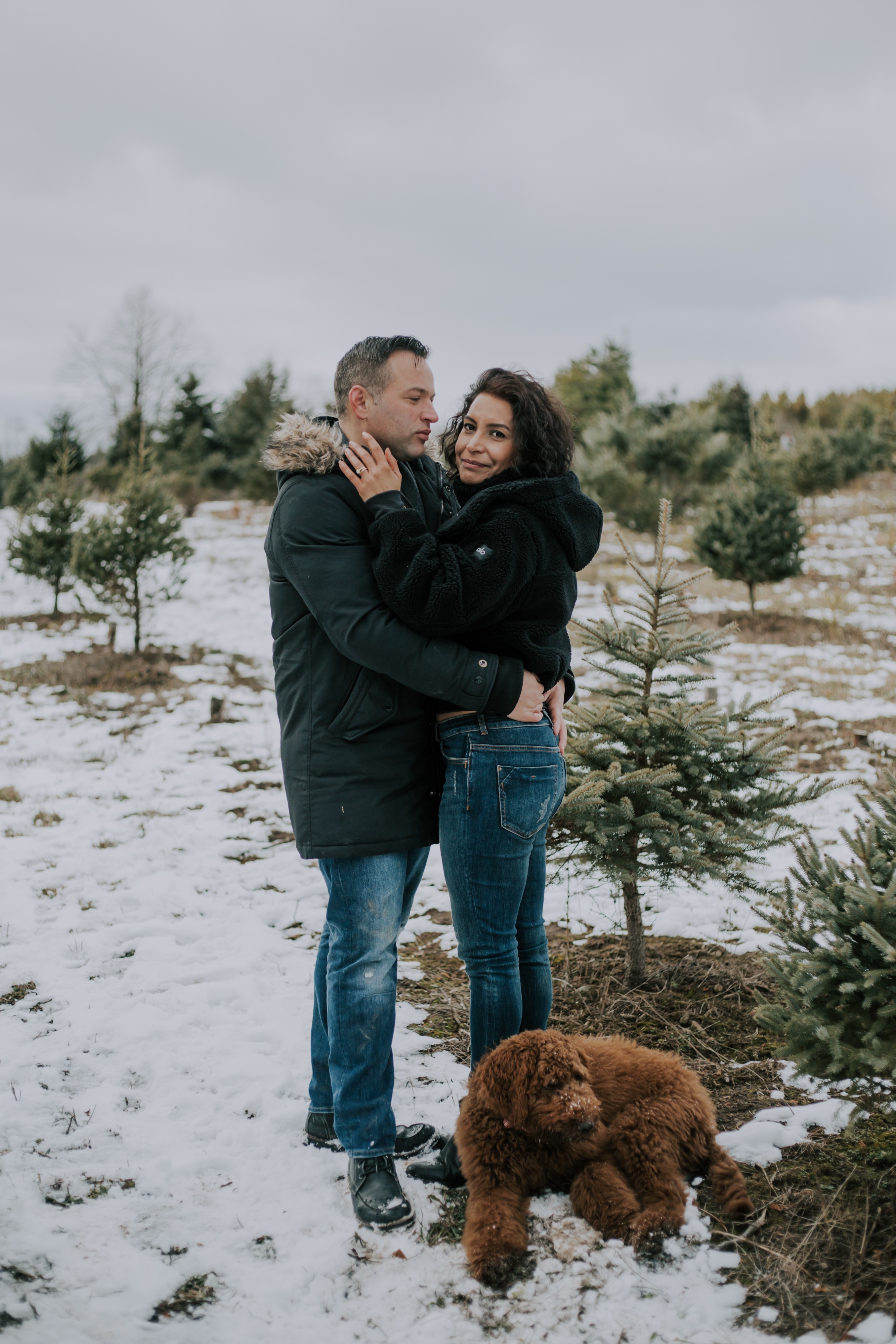 a couple embraces with dog in snowy christmas tree farm in hamilton